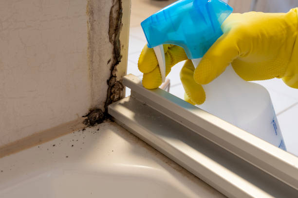 Best Mold Testing  in Greenville, GA