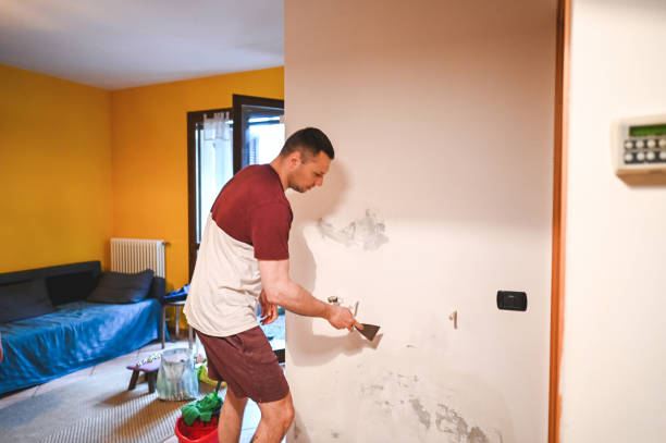 Best Certified Mold Removal  in Greenville, GA
