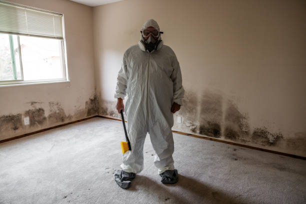 Best Residential Mold Removal  in Greenville, GA